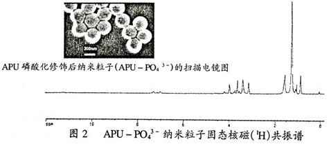 写出氨基酸解离的示意图: 氨基酸的等电点是指