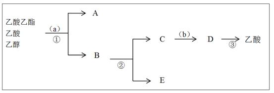 试写出半缩醛的结构简式和缩醛的结构简式: