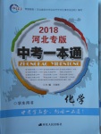 2018年中考一本通化學(xué)河北專版v