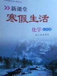 2018年新課堂寒假生活九年級(jí)化學(xué)人教版北京教育出版社