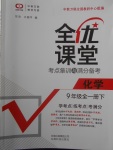 2018年全優(yōu)課堂考點(diǎn)集訓(xùn)與滿分備考九年級(jí)化學(xué)全一冊(cè)下