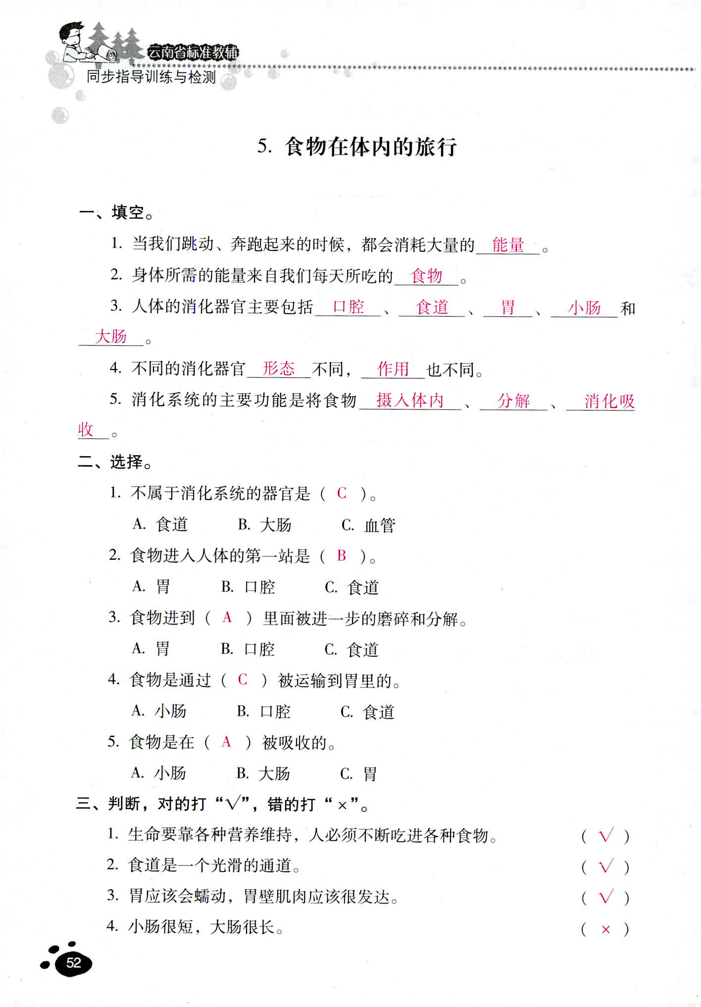 2018年云南省标准教辅同步指导训练与检测四年级科学教科版 第52页