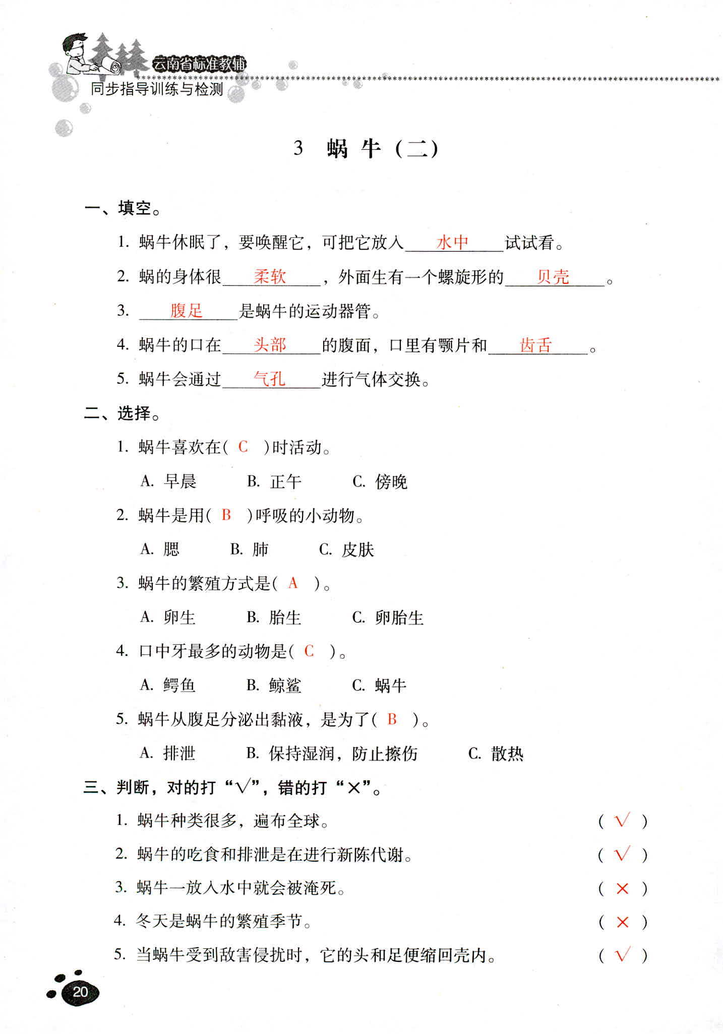 2018年云南省标准教辅同步指导训练与检测三年级科学教科版 第20页