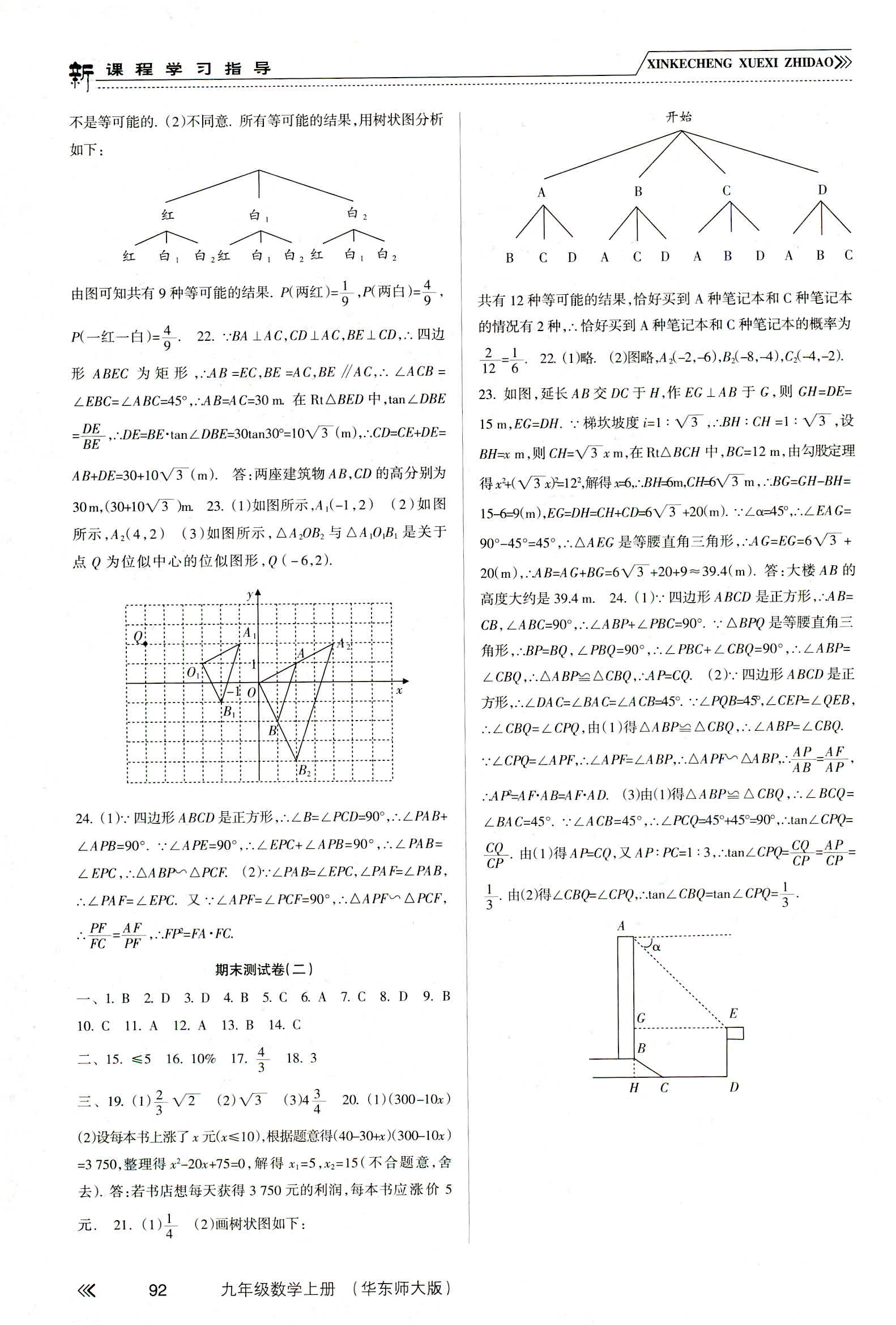 2018年新课程学习指导九年级数学华东师大版 第13页