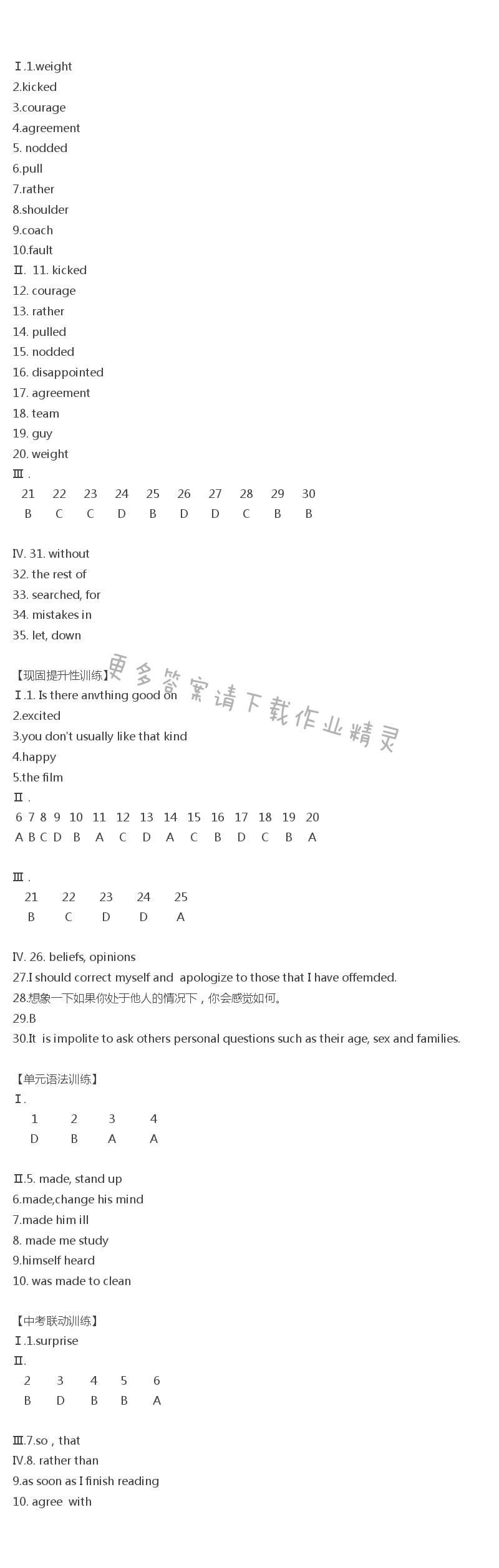 人教版九年级下册英语分层训练Unit11SectionB答案