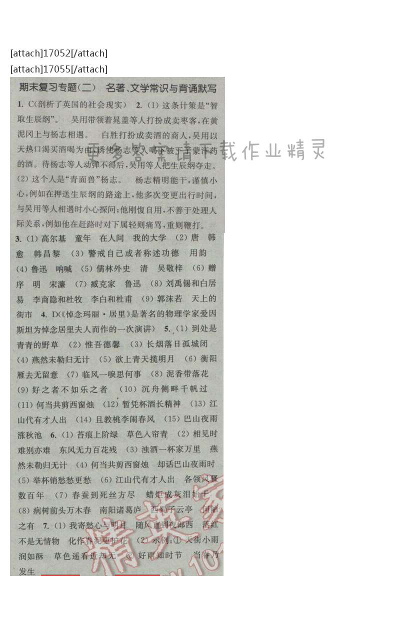 通城学典课时作业本八年级语文下册江苏版 期末复习专题（二）