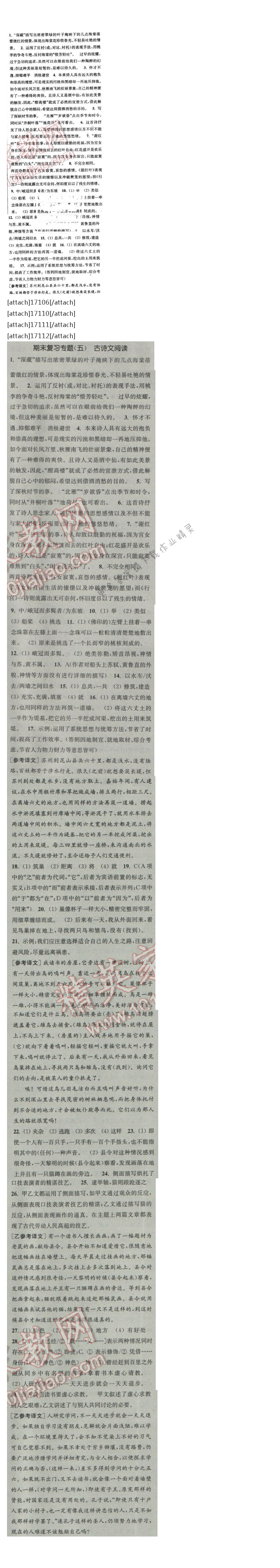 通城学典课时作业本八年级语文下册江苏版 期末复习专题（五）