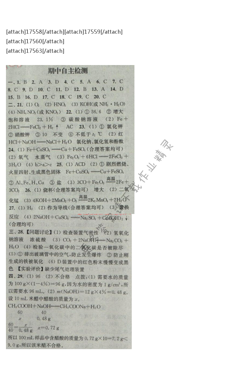 通城学典课时作业本九年级化学下册人教版 期中自测卷