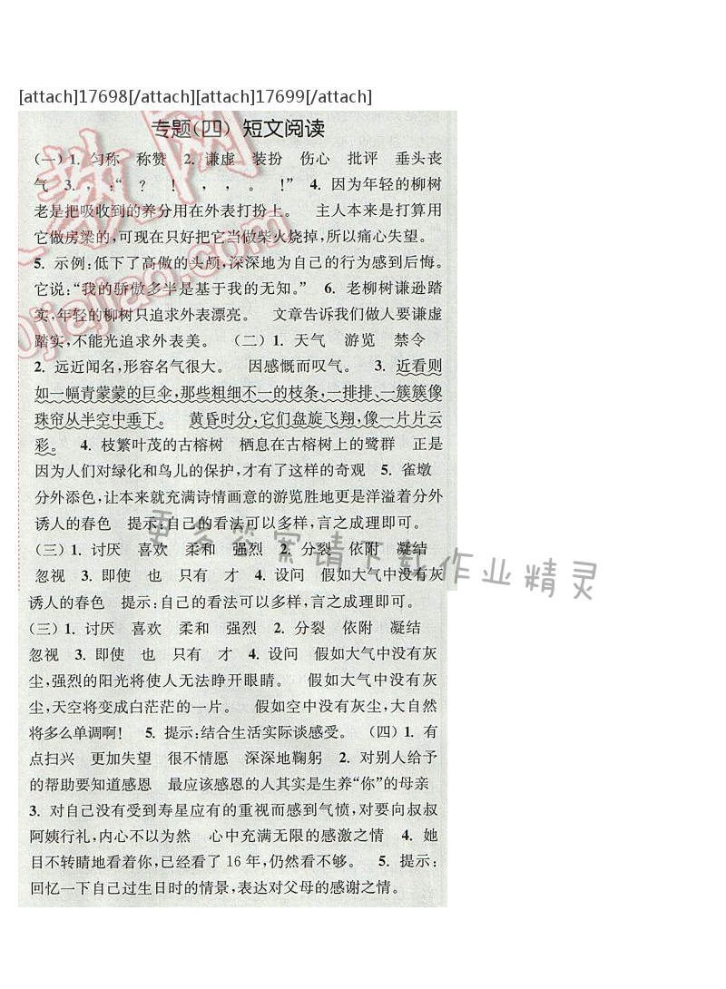 2017年通城学典六年级语文下册S版 期末复习 专题（四）