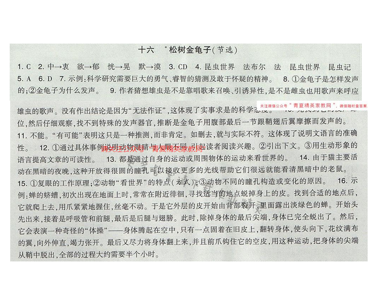 经纶学典新课时作业七年级语文下册江苏版 第四单元 十六 松树金龟子（节选）