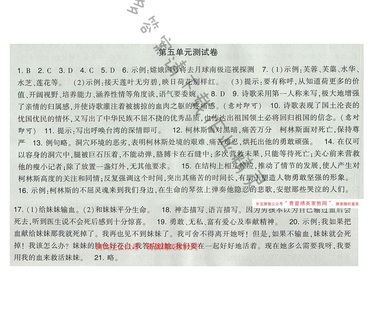2017经纶学典新课时作业七年级语文下册江苏版 第五单元检测卷