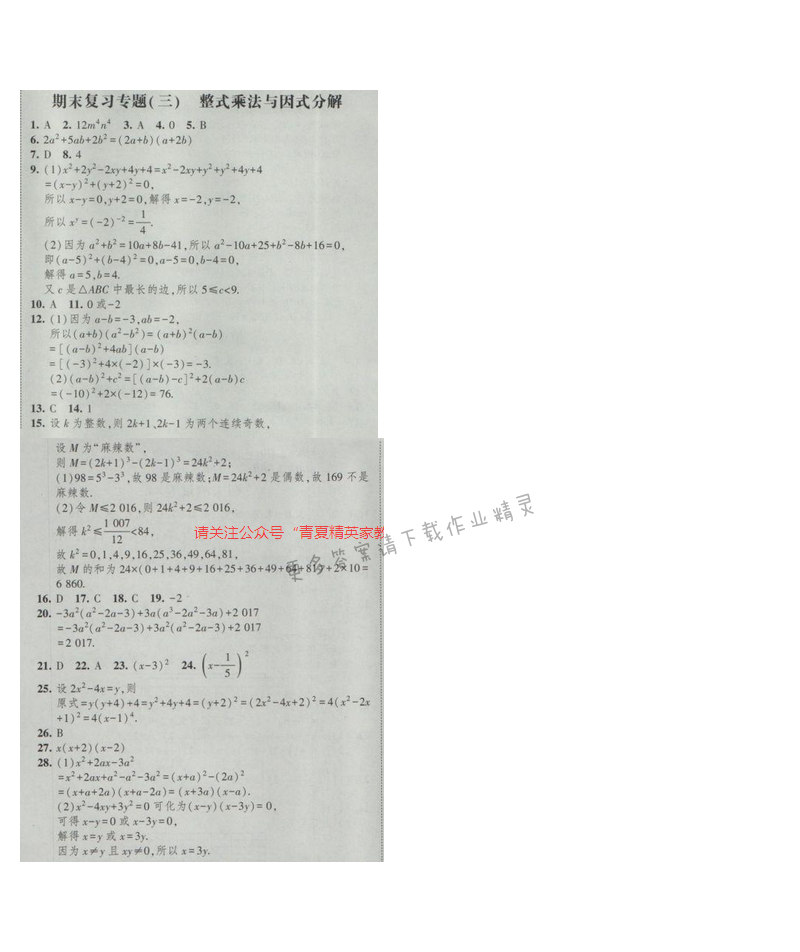 2017经纶学典新课时作业七年级数学下册江苏版 期末复习专题三 整式乘法与因式分解