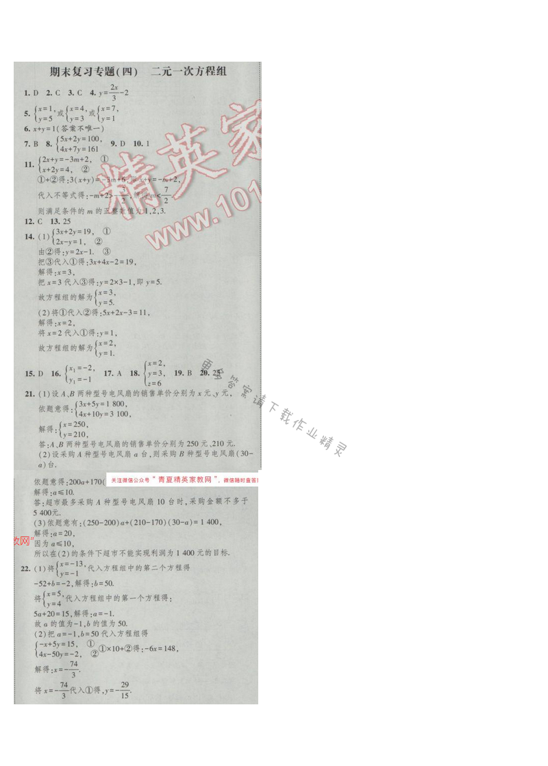 2017经纶学典新课时作业七年级数学下册江苏版 期末复习专题四 二元一次方程组