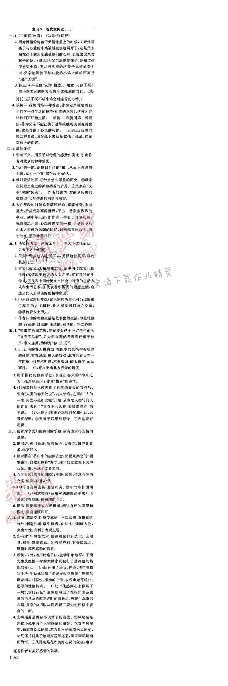 2017年提优训练非常阶段123九年级语文下册江苏版 复习 9