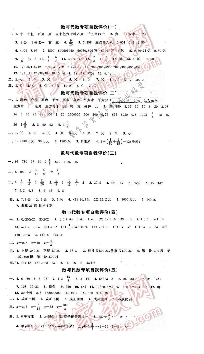 2016年优学有道绿色互动空间六年级数学下册江苏版 数与代数专项自我评价