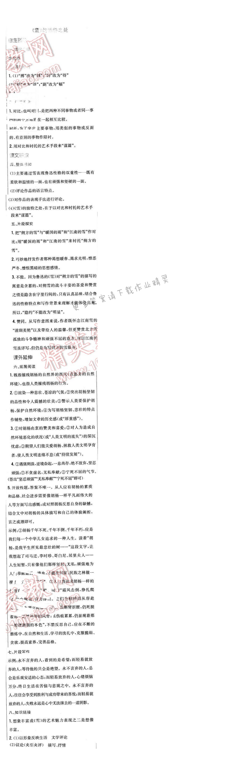 2016年新编基础训练九年级语文下册苏教版 第五单元 二十 《雪》的独特之处