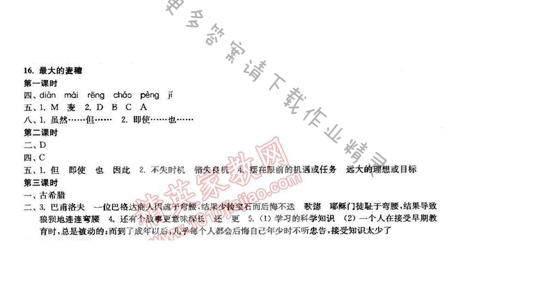 2017年新编金3练六年级语文下册江苏版 16.最大的麦穗