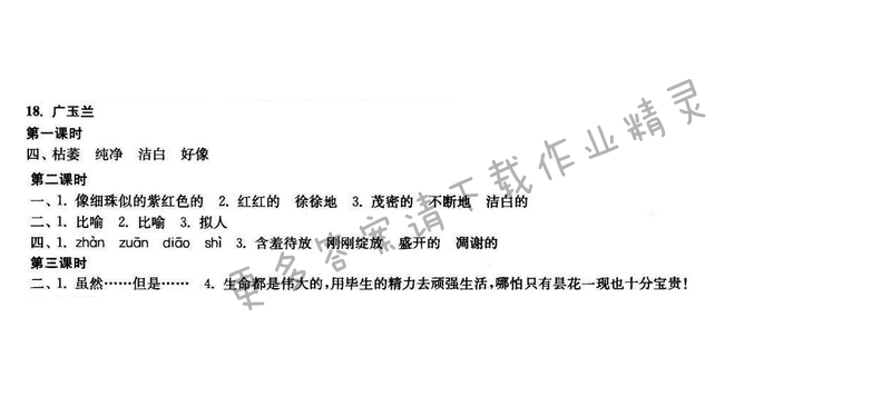 2017年新编金3练六年级语文下册江苏版 18.广玉兰