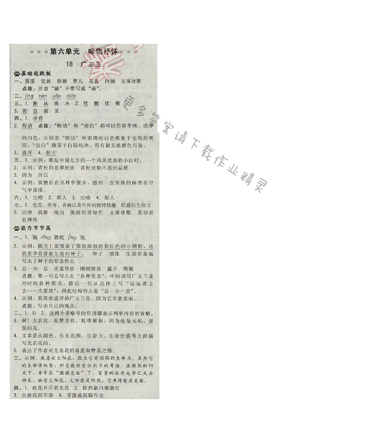 2017年综合应用创新题典中点六年级语文下册苏教版 第六单元 18.广玉兰