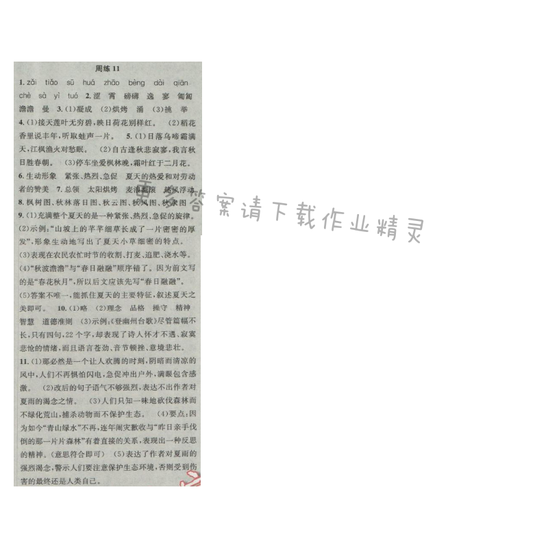 提优训练非常阶段123七年级语文上册江苏版 周练11