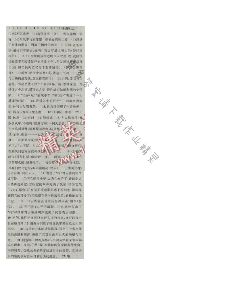提优训练非常阶段123七年级语文上册江苏版 期末复习1