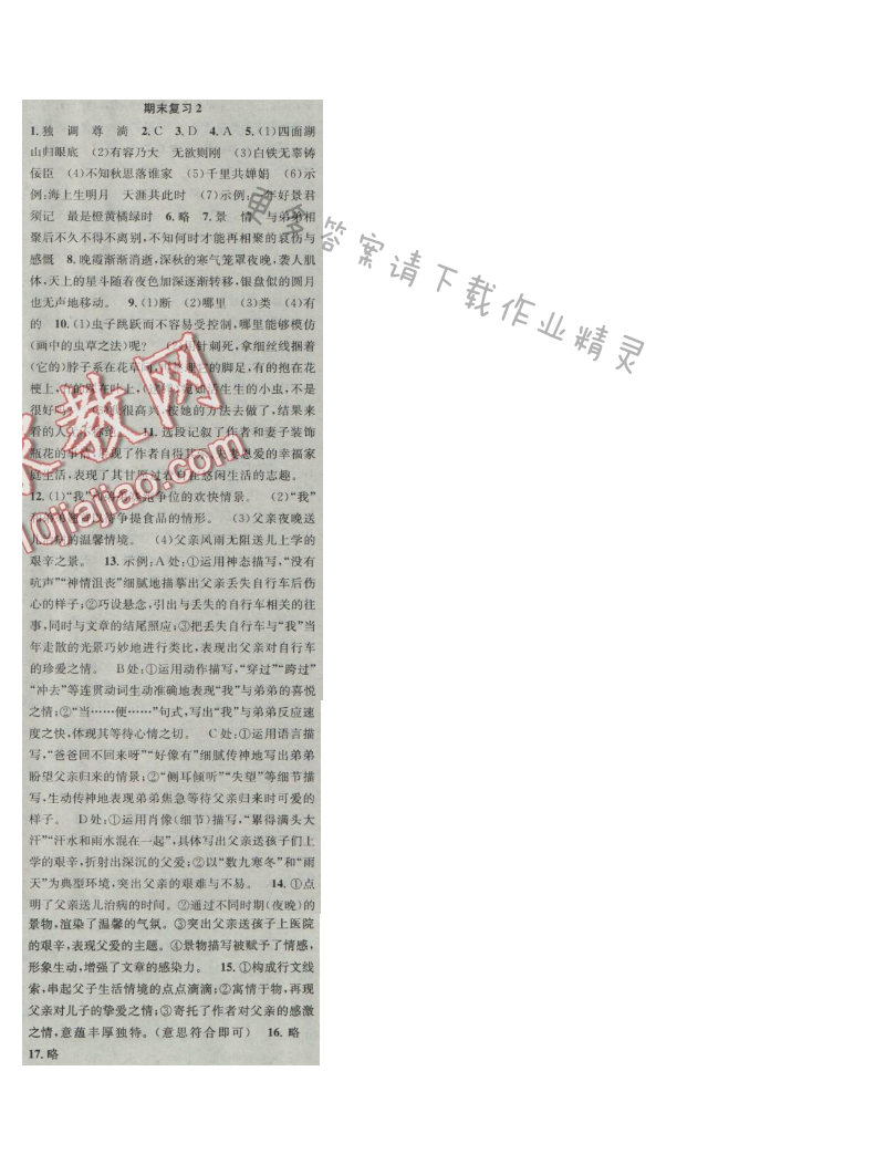 提优训练非常阶段123七年级语文上册江苏版 期末复习2