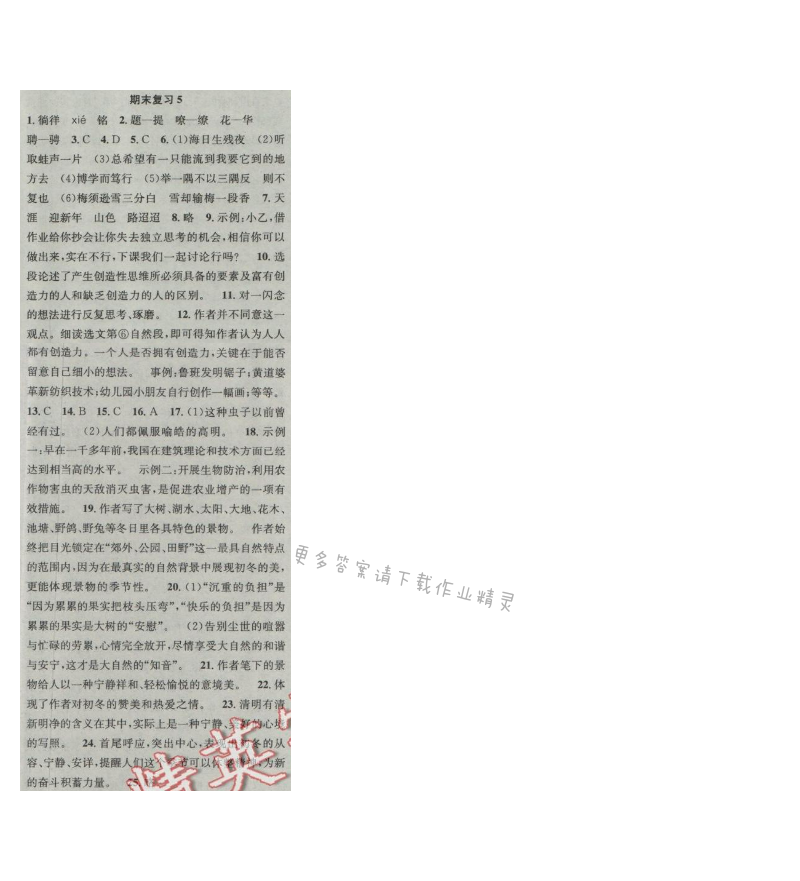 提优训练非常阶段123七年级语文上册江苏版 期末复习5