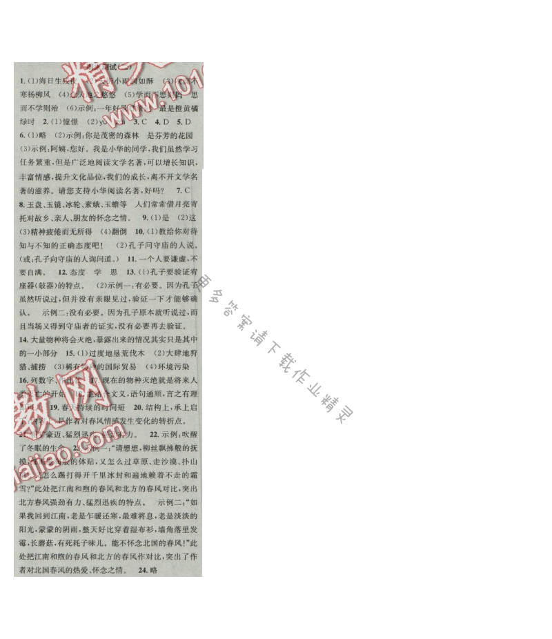 提优训练非常阶段123七年级语文上册江苏版 期末检测(二)
