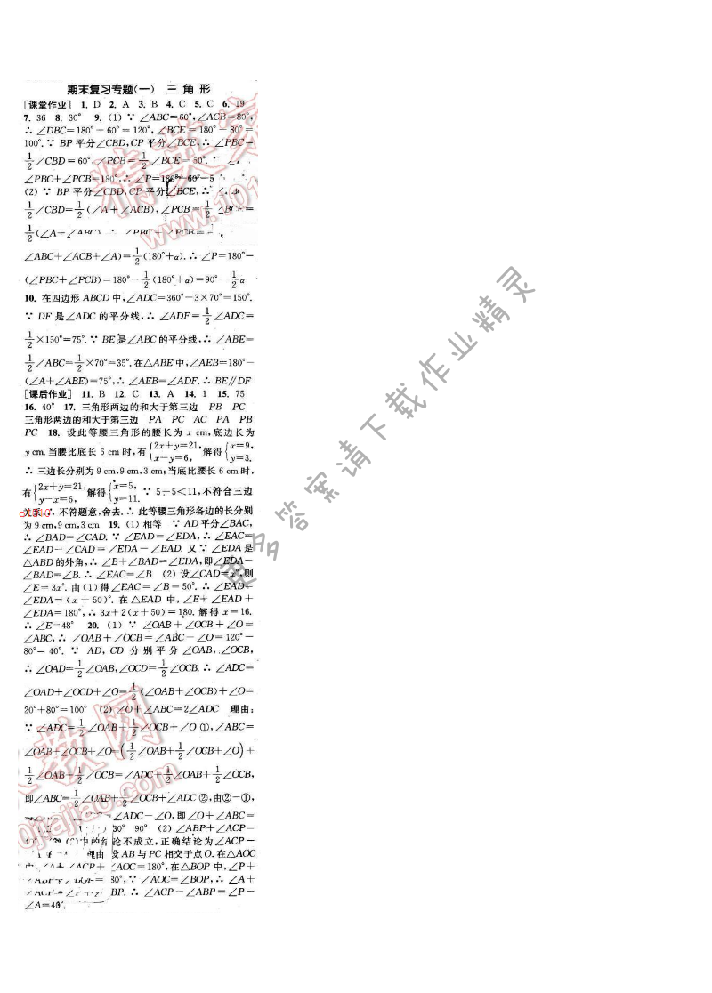 通城学典课时作业本八年级数学上册人教版 期末复习专题(一)