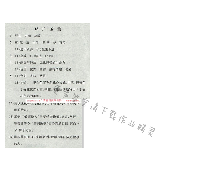 苏教版2017年六年级语文下册全品学练考 18广玉兰