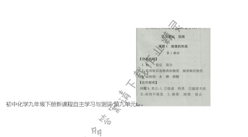 初中化学九年级下册新课程自主学习与测评 第九单元