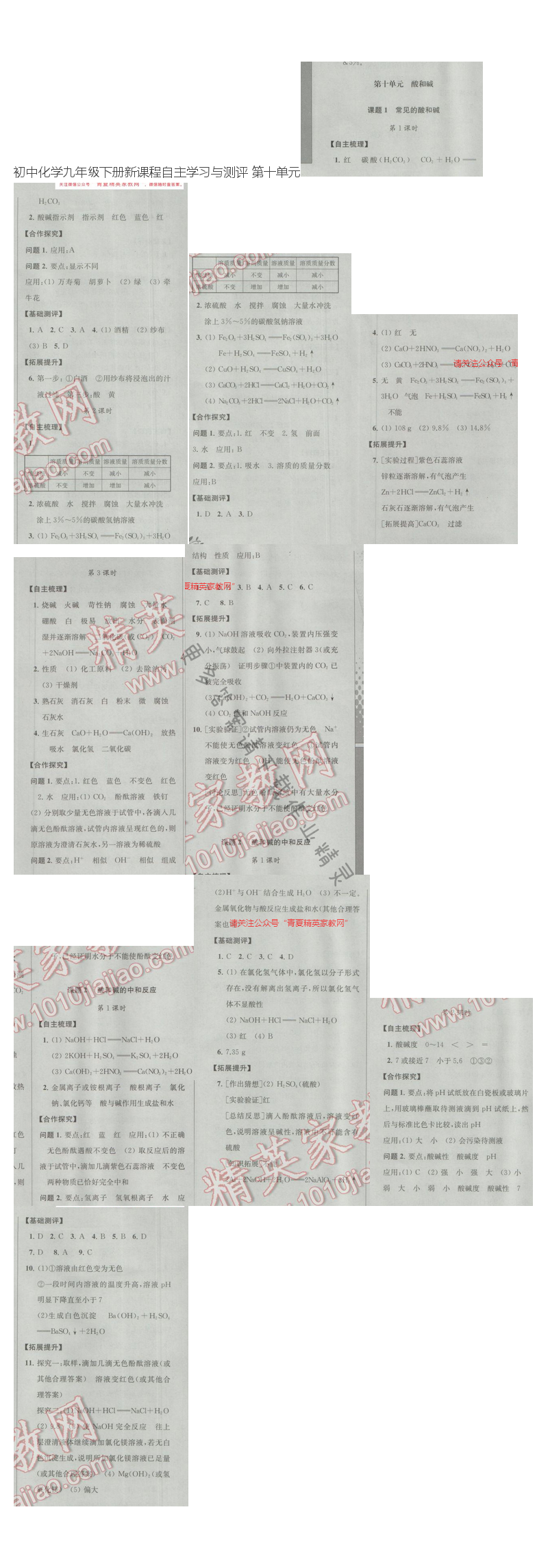初中化学九年级下册新课程自主学习与测评 第十单元