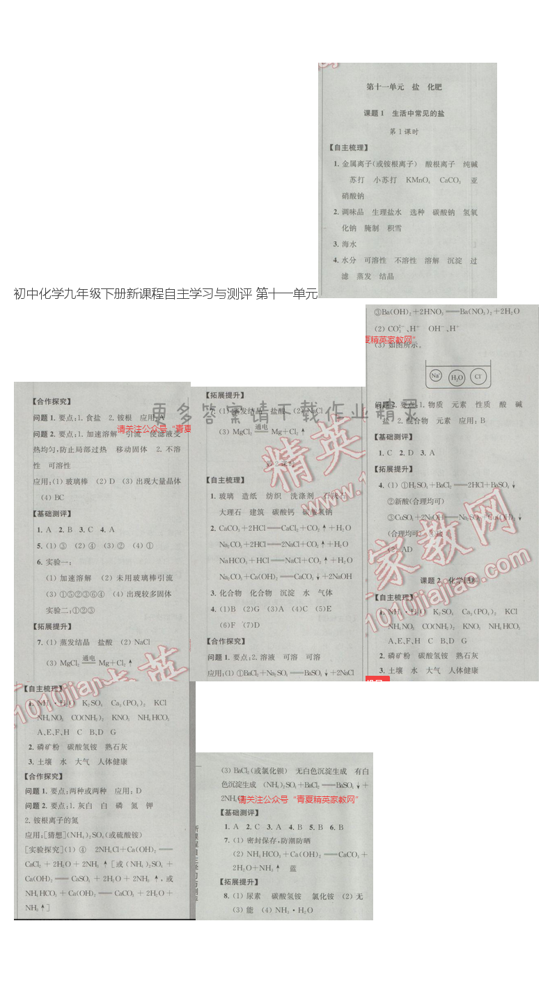 初中化学九年级下册新课程自主学习与测评 第十一单元