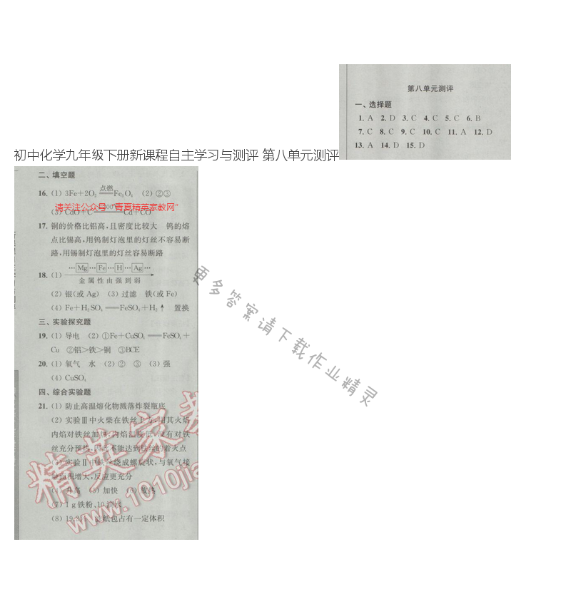 初中化学九年级下册新课程自主学习与测评 第八单元测评