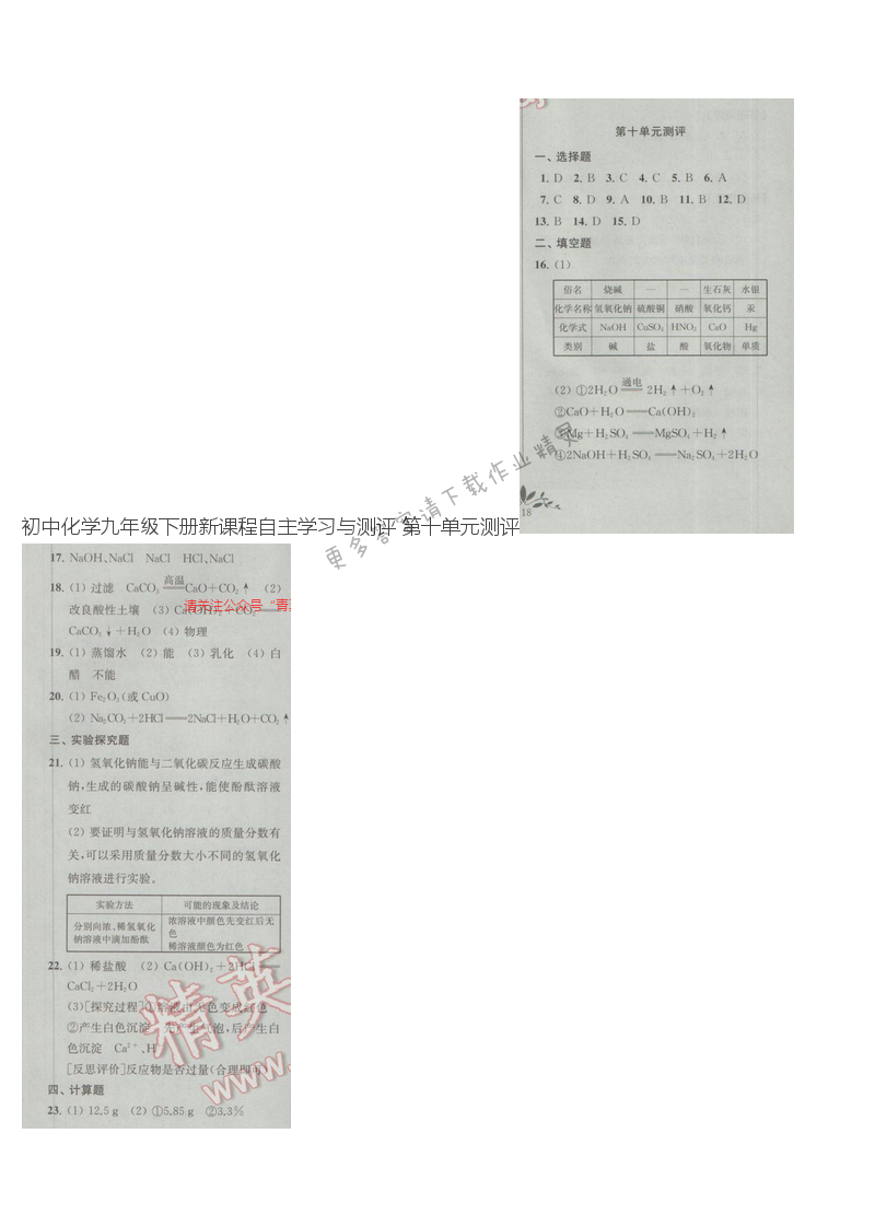 初中化学九年级下册新课程自主学习与测评 第十单元测评