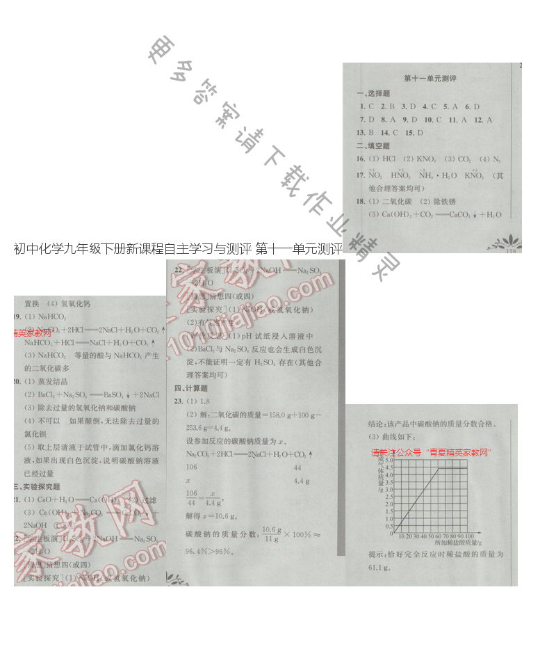 初中化学九年级下册新课程自主学习与测评 第十一单元测评