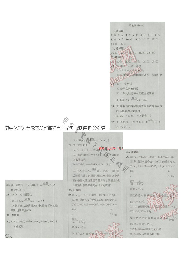 初中化学九年级下册新课程自主学习与测评 阶段测评一