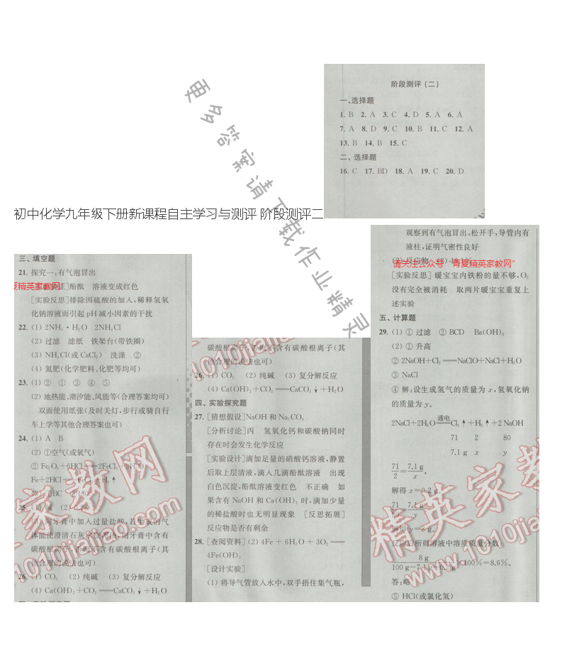 初中化学九年级下册新课程自主学习与测评 阶段测评二
