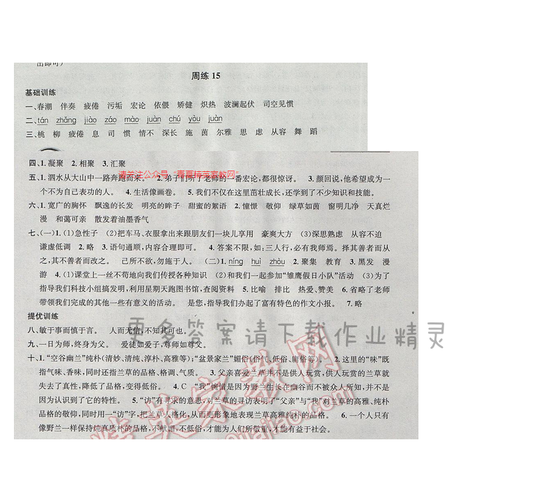 2017年江苏版提优训练非常阶段123六年级语文下册 周练15