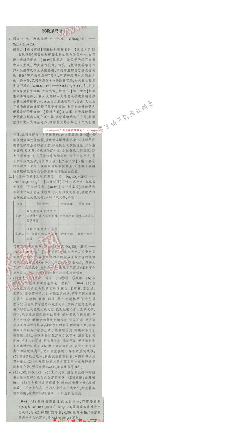 2017年经纶学典新课时作业九年级化学下册人教版第十一单元实验探究园