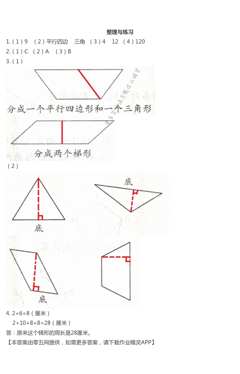 第七单元  三角形、平行四边形和梯形 - 整理与练习