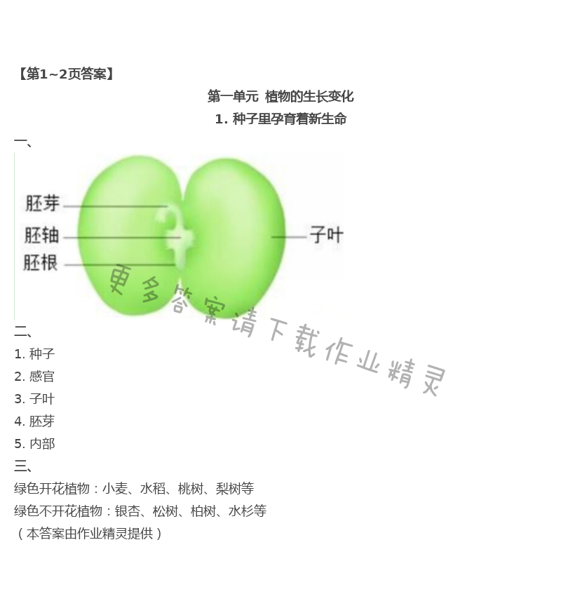 2021年暑假作業(yè)四年級教科版教育科學出版社 第1頁