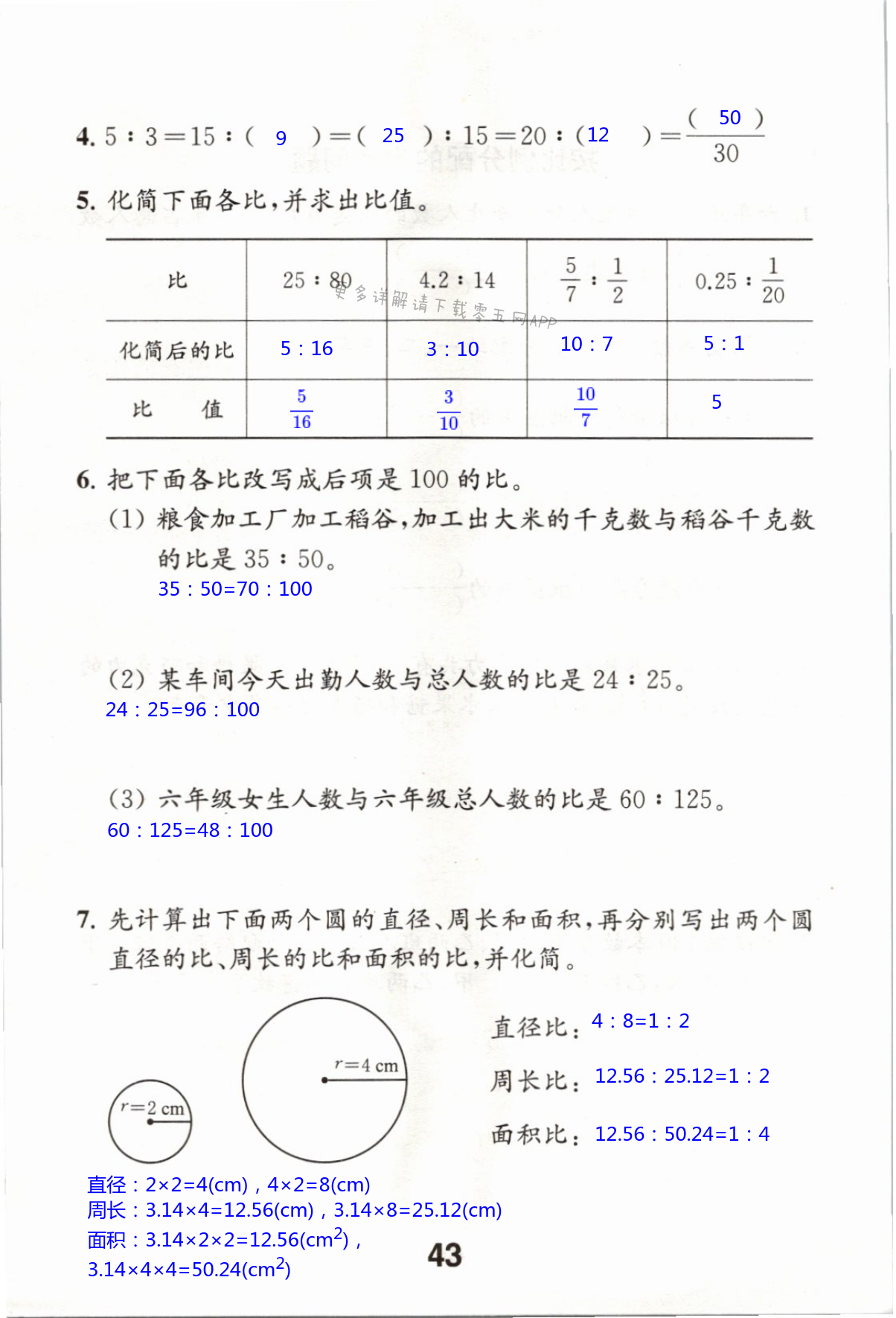 第43页 苏教版数学补充习题六年级上下册答案—零五网