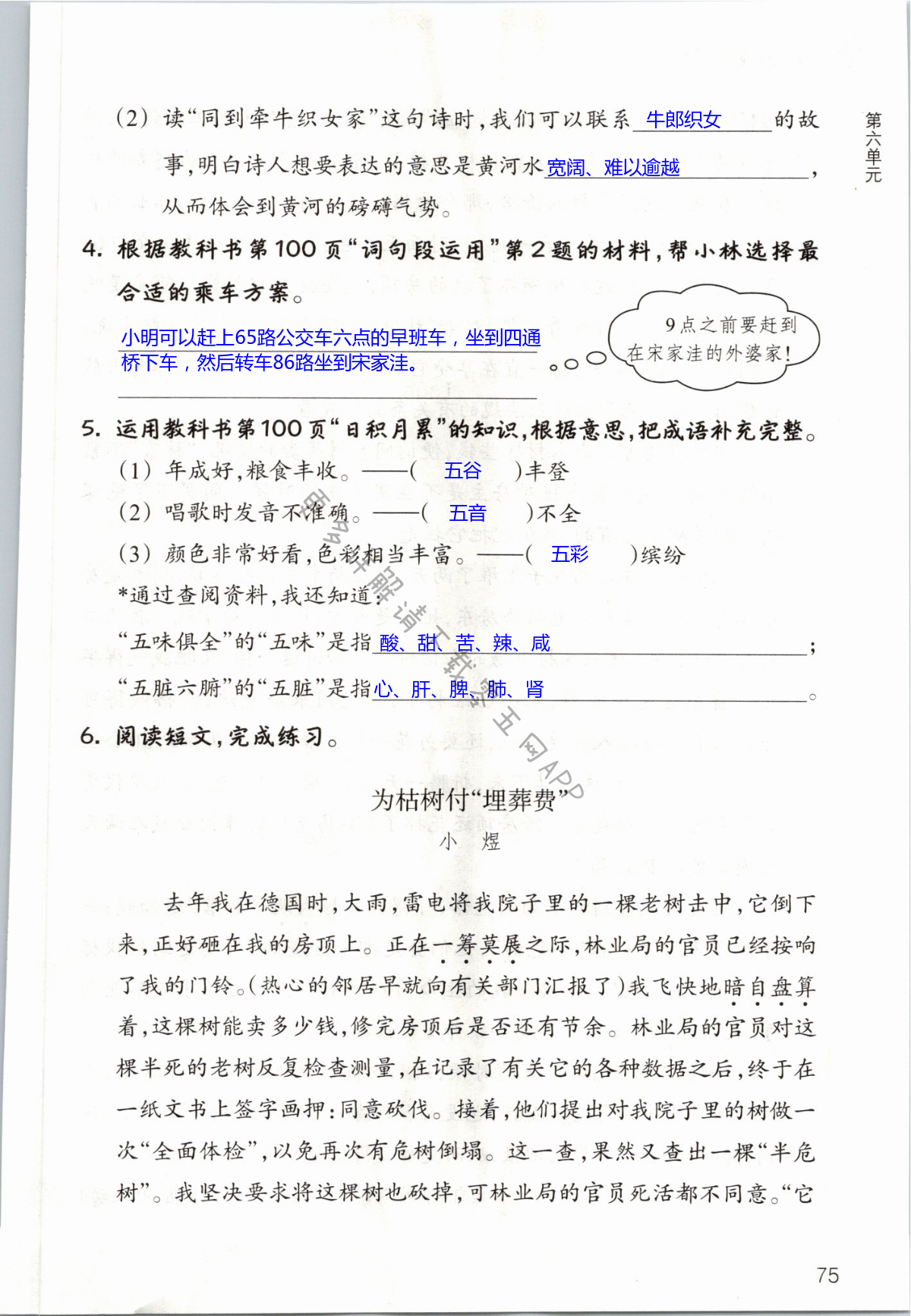 第75页 - 作业本六年级语文人教版浙江教育出版社 - 05网 零5网 0五网