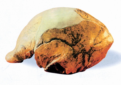 .右图是青铜神树.1986年8月出土.造型为一树状.上有神鸟.原树高 384Cm.3簇树枝.每簇3枝.上有27个果实和9只鸟.可能是“九日居 下枝 的意思.此文物出土于 ( ) A.河南殷墟 B.四川三星堆 C.陕西西安 D.山东大汶口