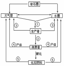 右图为碳循环示意图.据图回答问题(1)从微观上看.