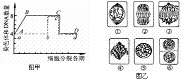 突变草莓_胚系突变 体细胞突变_dnf86版本突变草莓