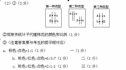 则两对基因的位置符合上图第     种类型; b