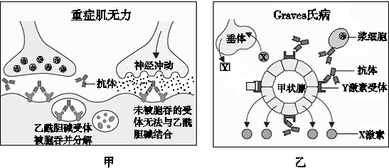 GDP胆碱_中国gdp增长图