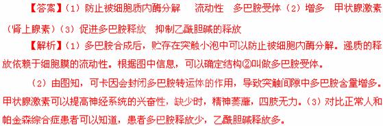 作用可作为局部麻醉药下图甲为可卡因对人脑部神经冲动的传递干扰示意